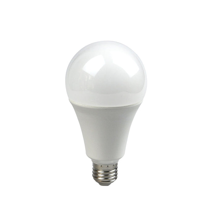 LAMPADINA LED E27 20W A80-20W-C