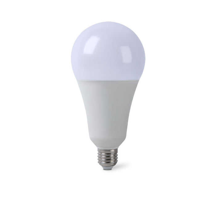 LAMPADINA LED E27 20W A95-09C