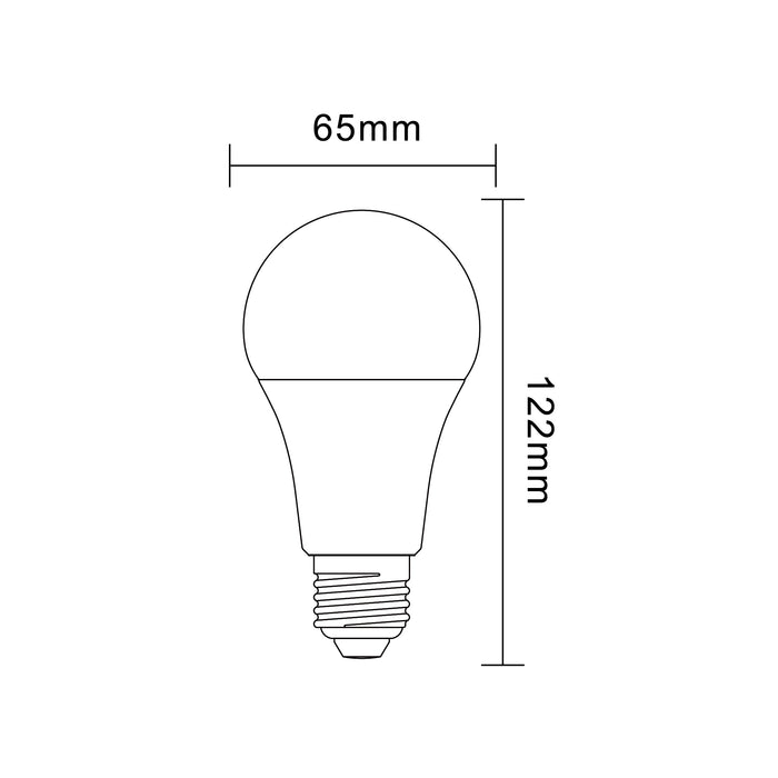 LAMPADINA LED E27 15W A65-09F