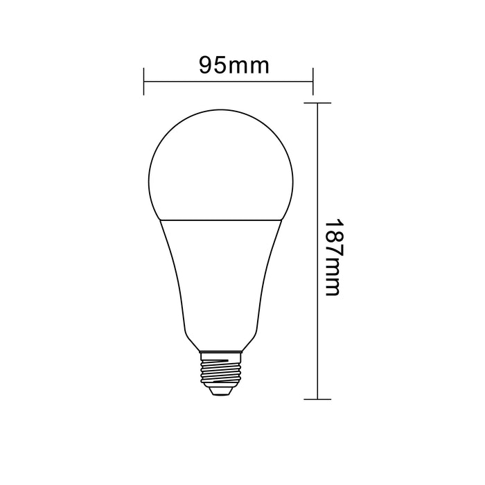 LAMPADINA LED E27 20W A95-09F